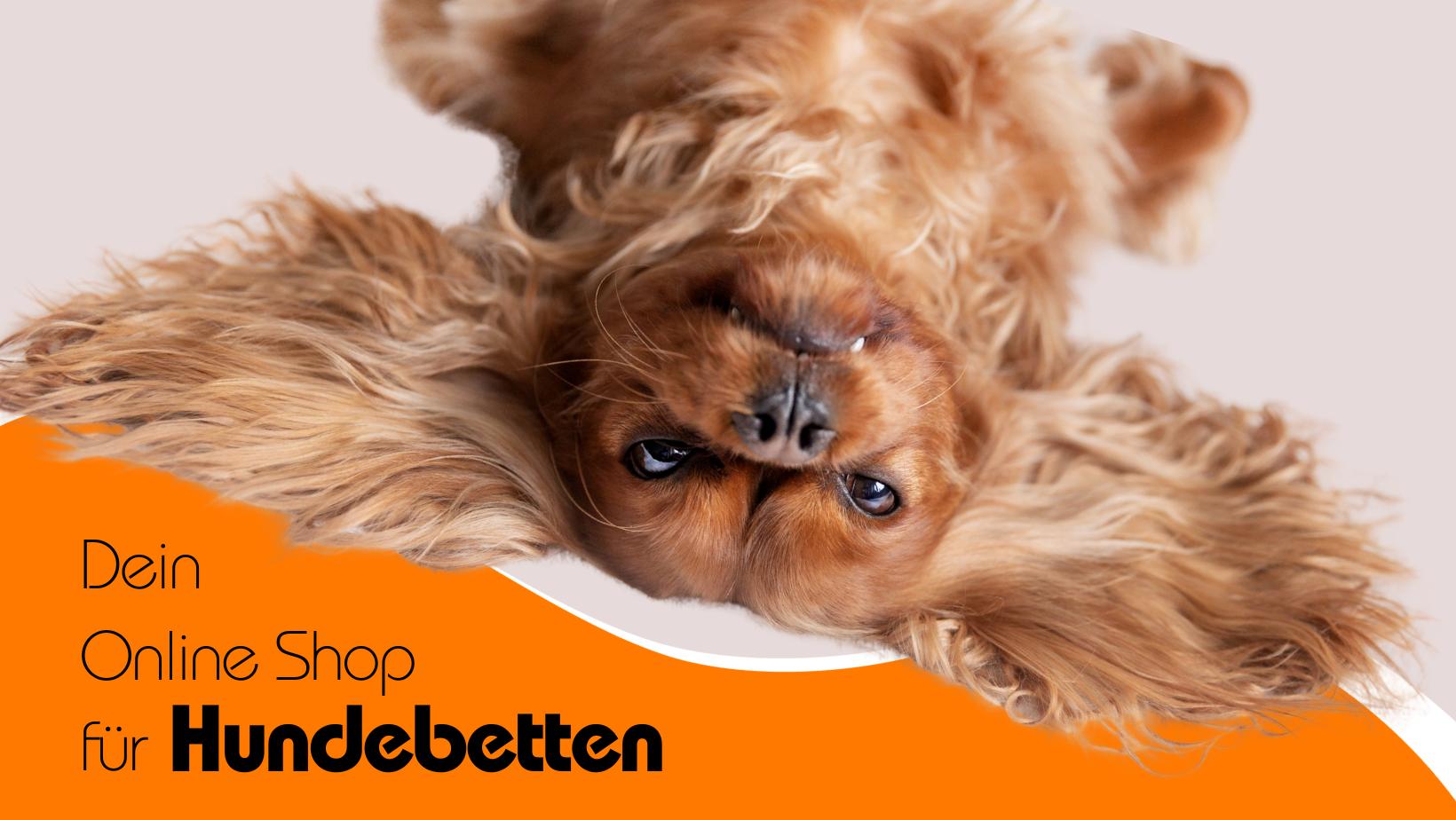 Hundebetten Online Shop Mazuli