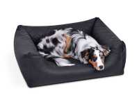 Padsforall Hundebett Modell Wordcollection Select+ schwarz