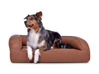 Kunstleder Hundebett Flo Select+ Kupfer